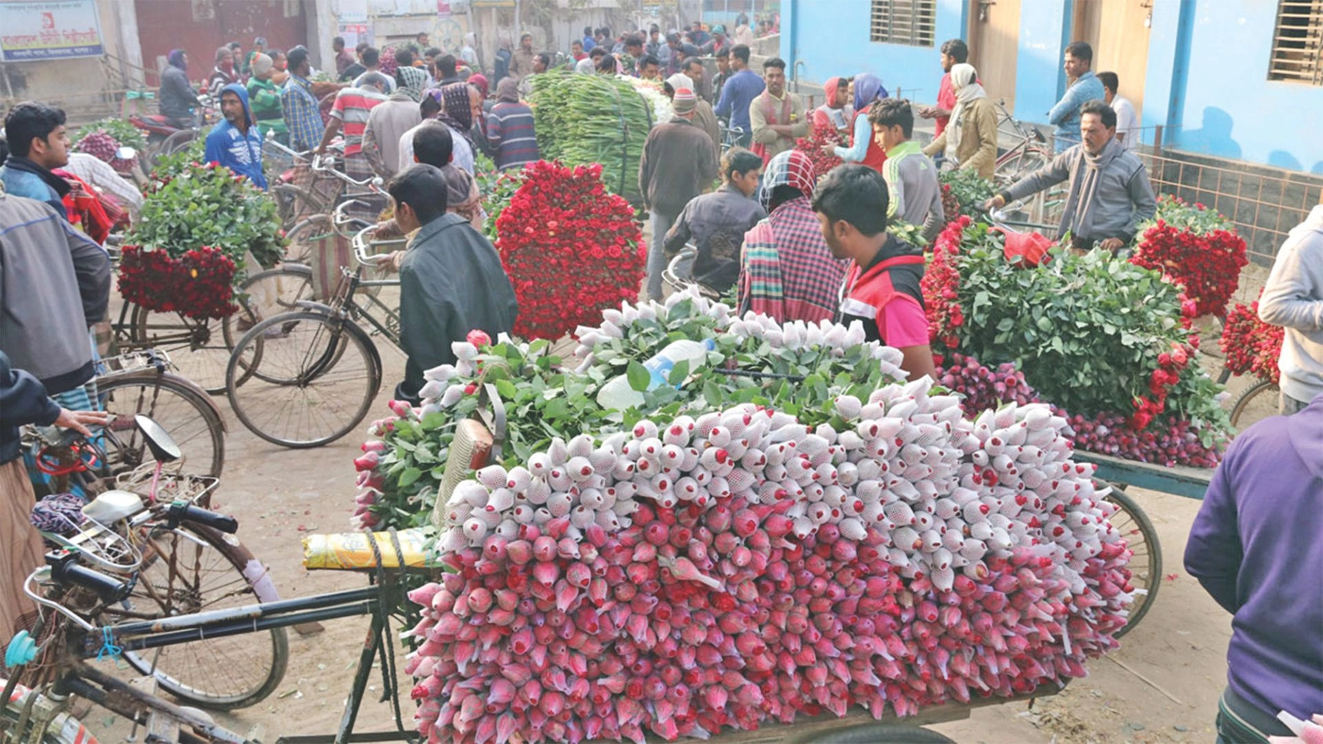 ফুল চাষে বাণিজ্যিক সম্ভাবনা