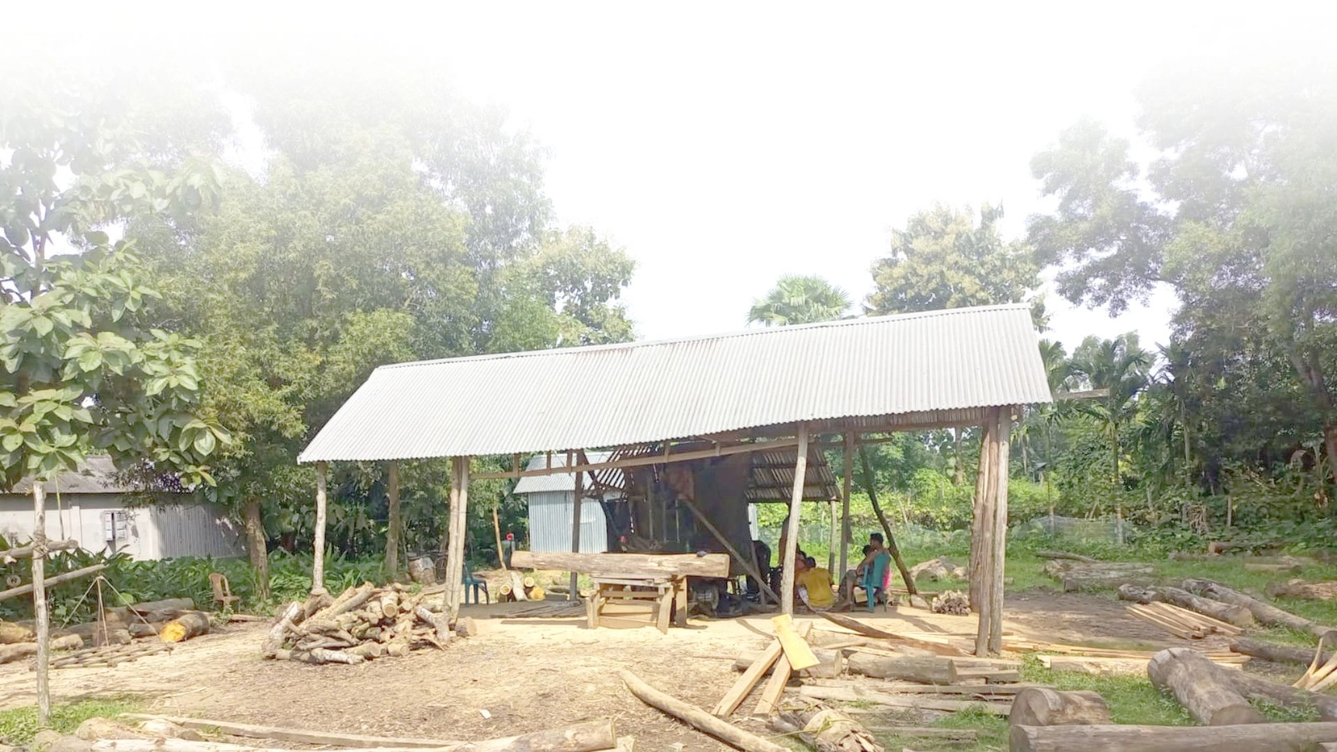 বনের রাজা যুবলীগ নেতা খোরশেদ