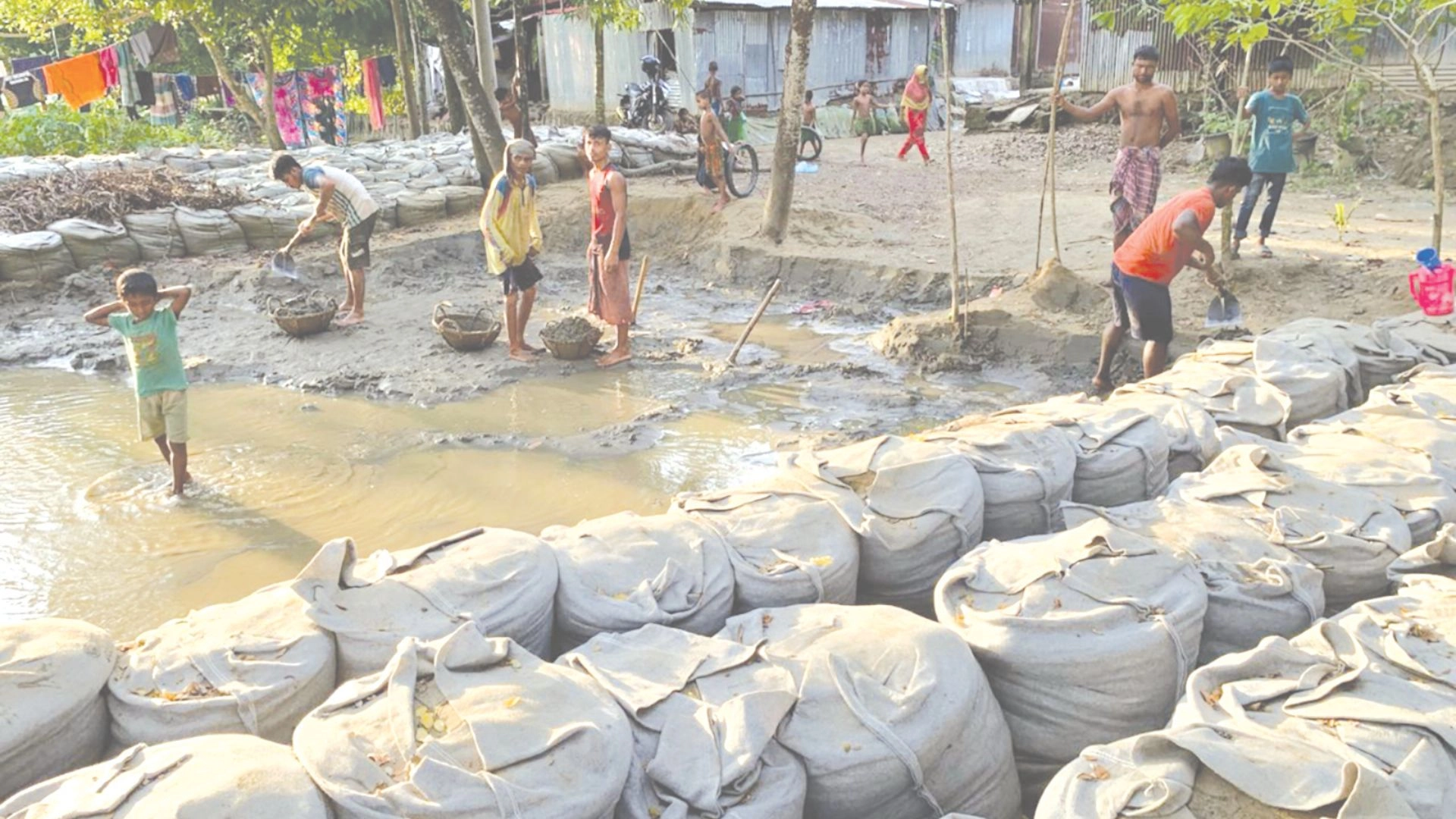 হাওরের ঢেউয়ে ঢেউয়ে লুটের চিহ্ন