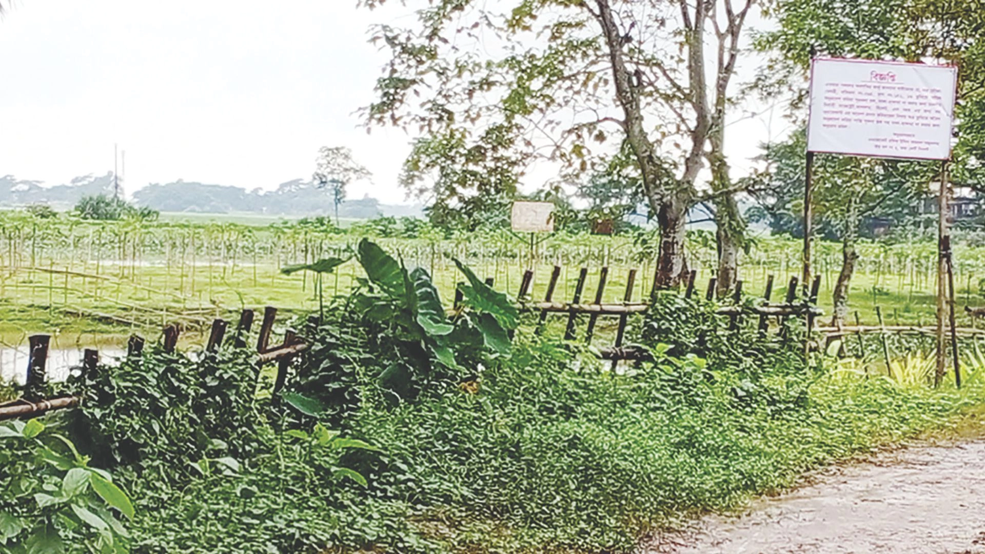 বিশ্বনাথে কোটি টাকার সরকারি জমি আত্মসাতের চেষ্টা