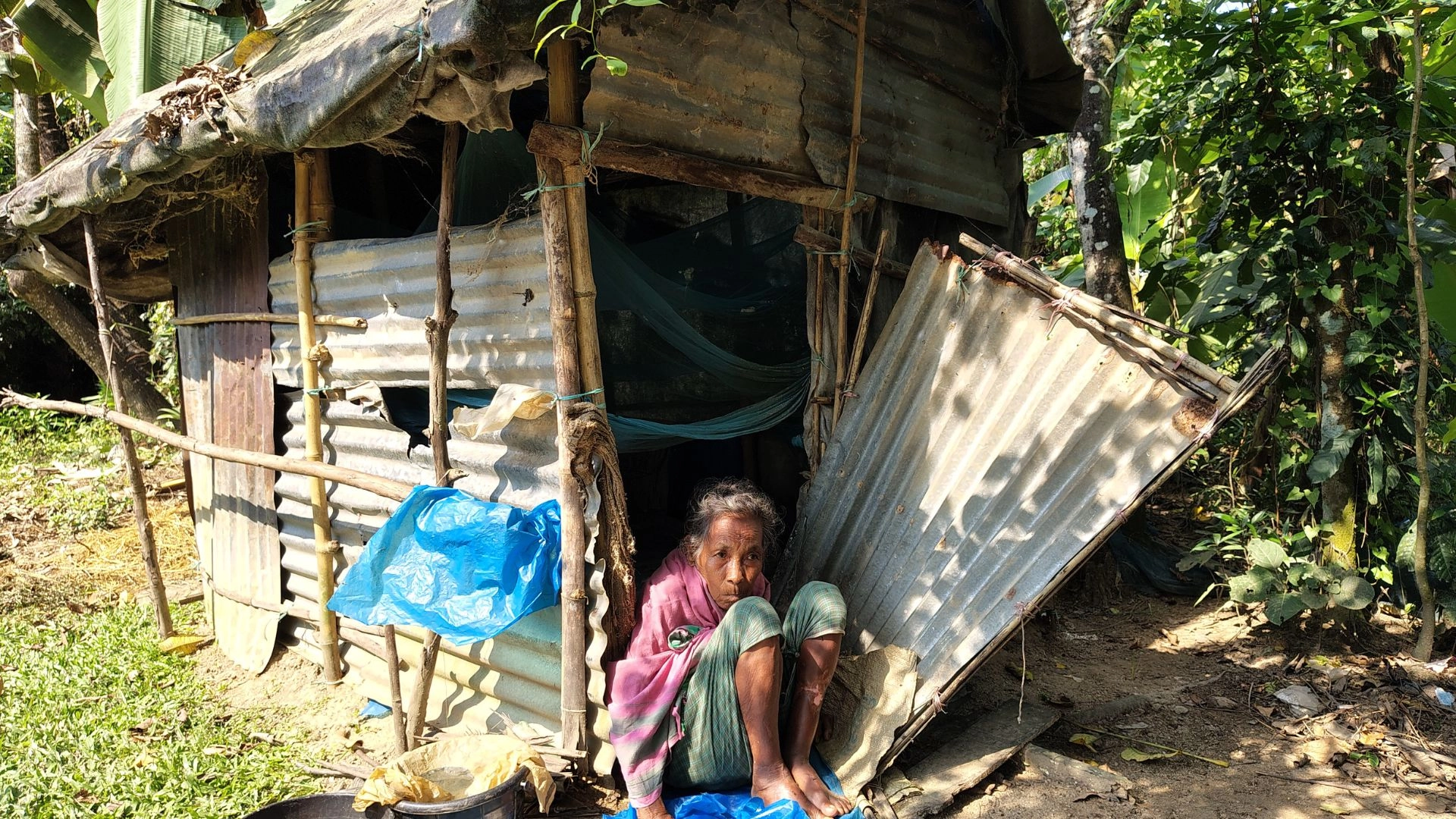 নিঃসন্তান বিমলা হাজংয়ের মানবেতর জীবন