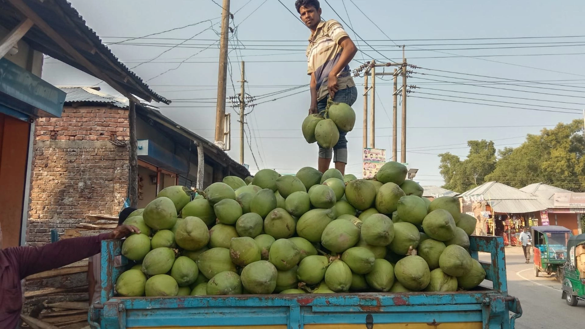 ডাবে সমৃদ্ধ হচ্ছে ভোলার অর্থনীতি