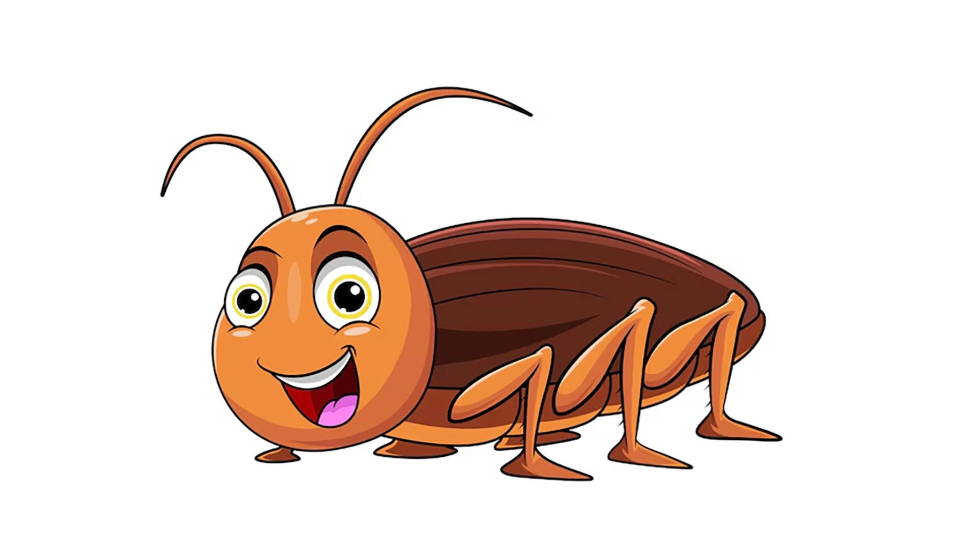 তেলাপোকার বিলুপ্তি  পৃথিবীতে ঘটাতে  পারে দারুণ বিপত্তি