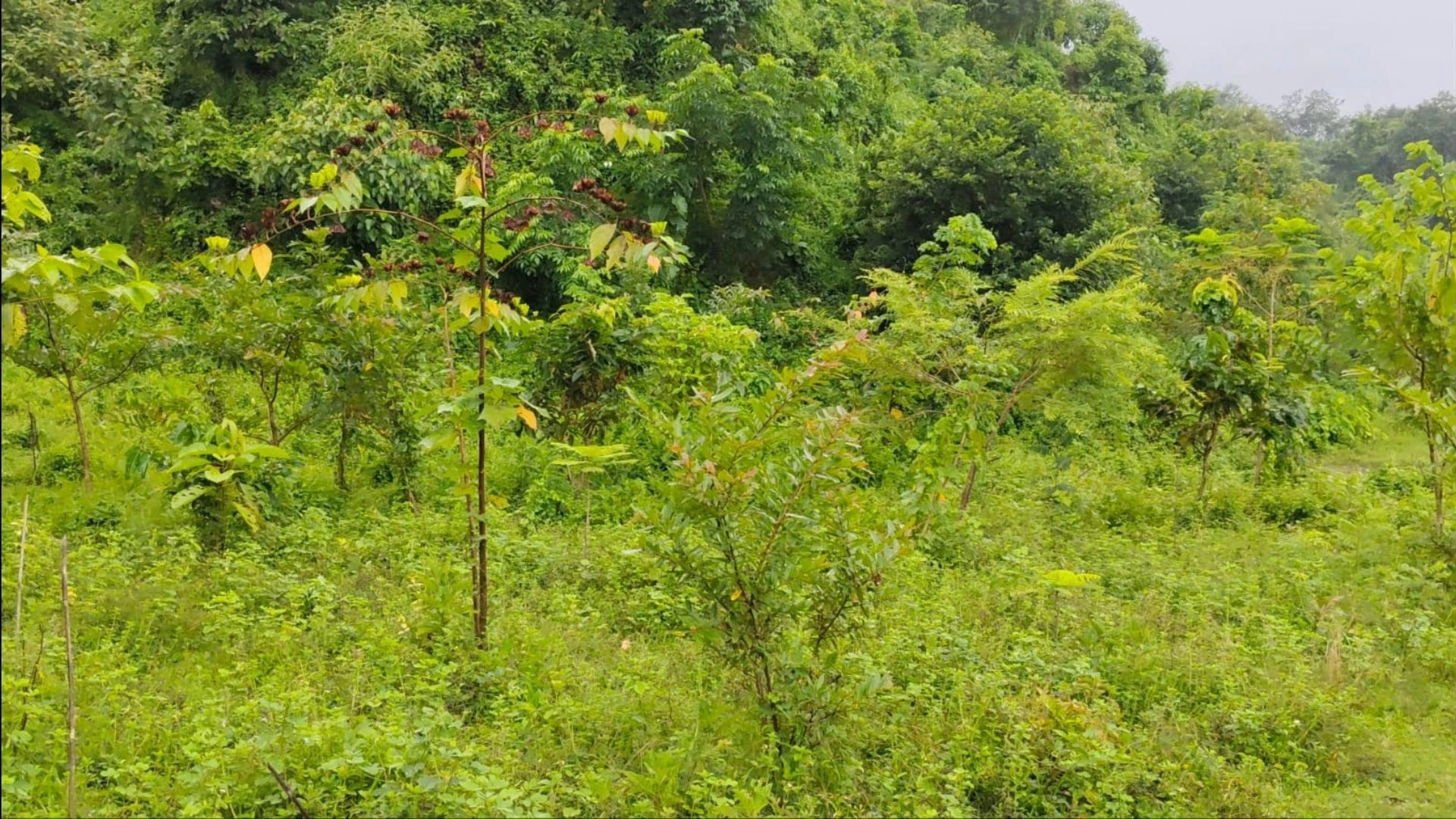 বদলাচ্ছে পাহাড়, জীবন-জীবিকায় স্বস্তি