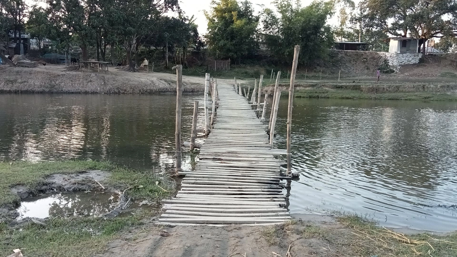ঝুঁকিপূর্ণ বাঁশের সাঁকোই  একমাত্র ভরসা