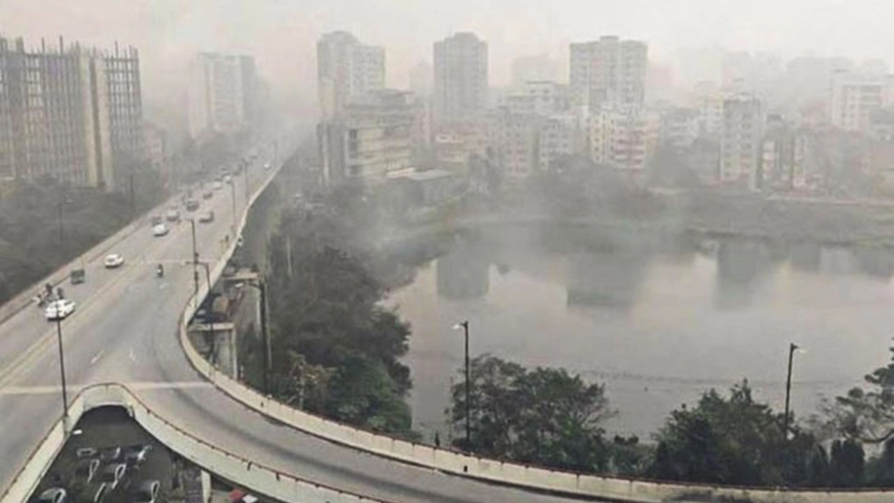 ছবি : সংগৃহীত