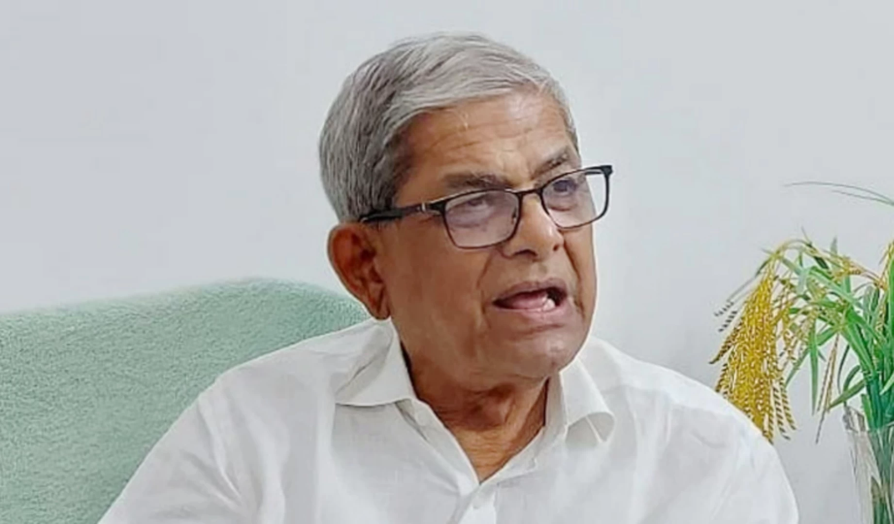 মির্জা ফখরুল ইসলাম আলমগীর। ছবি সংগৃহীত