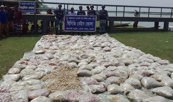 ছবি সংগৃহীত
