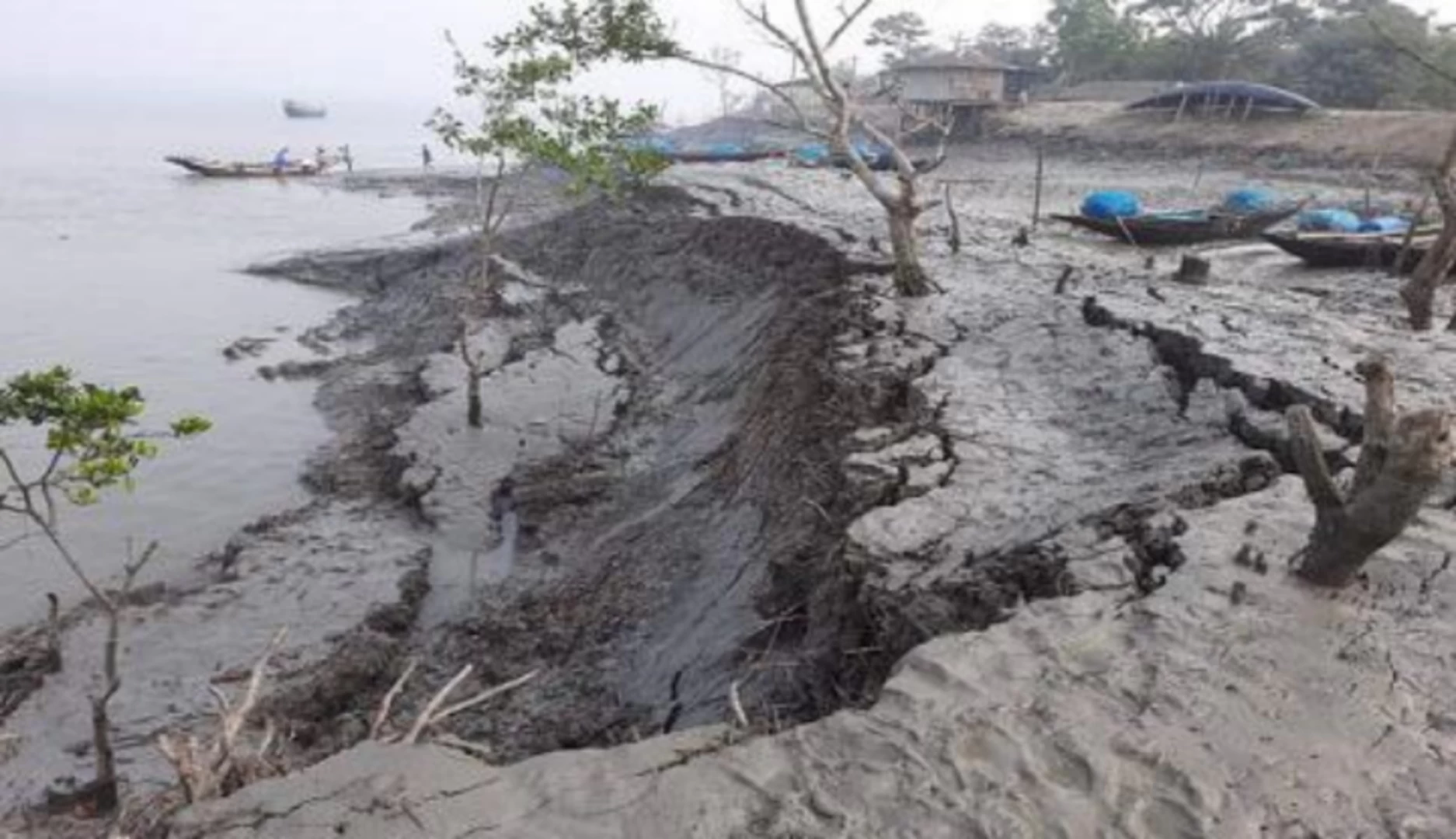 ছবি সংগৃহীত