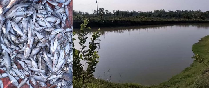 ছবি: রূপালী বাংলাদেশ