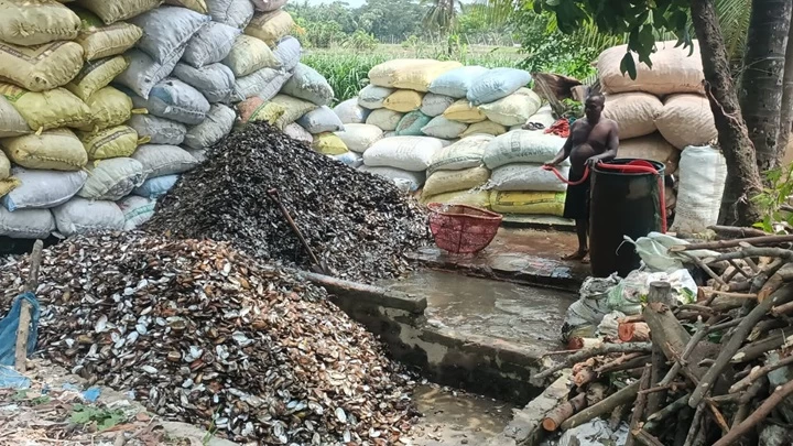 ছবি: রূপালী বাংলাদেশ
