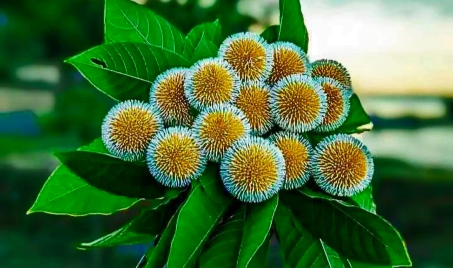 ছবি: রূপালী বাংলাদেশ